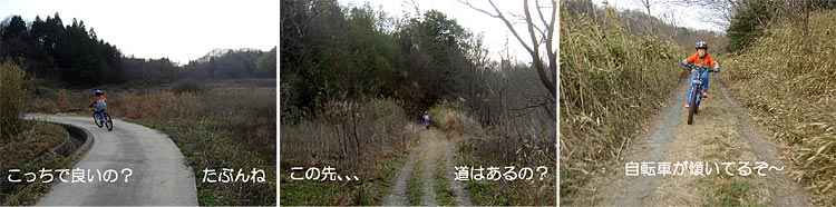 里山トレールラン　　　20070308