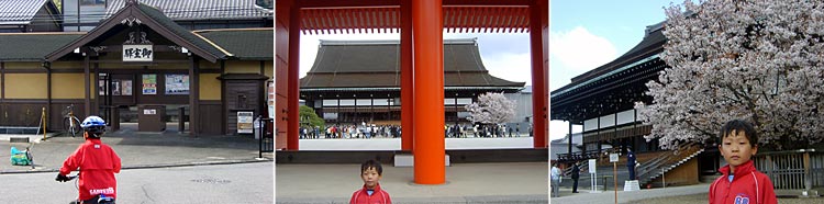 京都の桜　　　　20070405