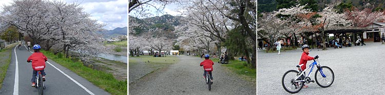 京都の桜　　　　20070405