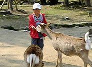 奈良散策　　　20070408