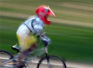 GONZO　　　20070901