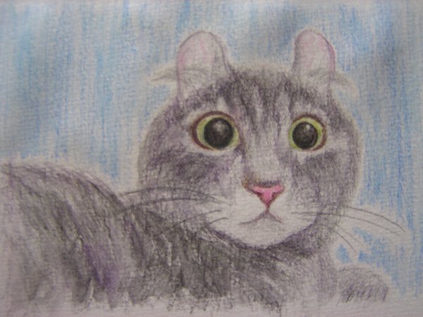 neko 003.jpg