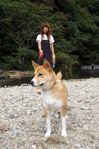 ペコ＆アッサム