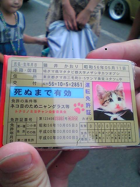 でた！！幻のゴールド免許！！
