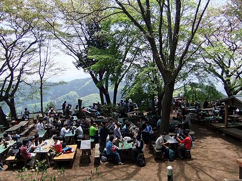 景信山5月
