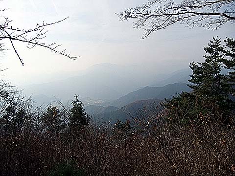 生籐山3
