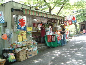 養老の滝　お土産や