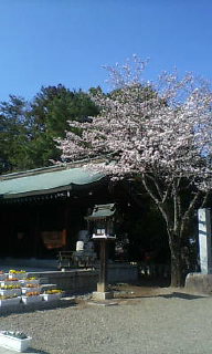 桜山書面