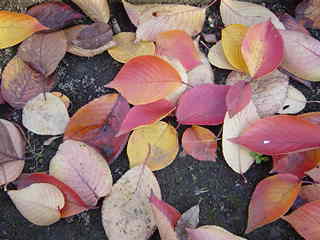 2005-11-18 23:59:28