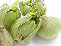 ふきのとうは天ぷらで食べるのがGOOD！