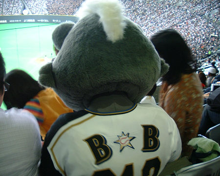 2008年3月20日日本ハム開幕戦BBシートで観戦