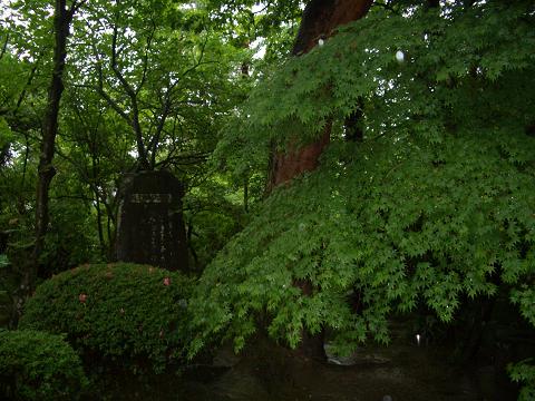 常光院　みどり.JPG