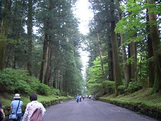 東照宮　道.JPG