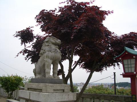 織姫神社　狛犬.JPG