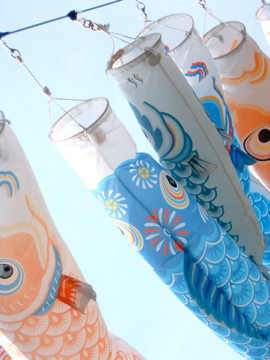 08koinobori2.jpg