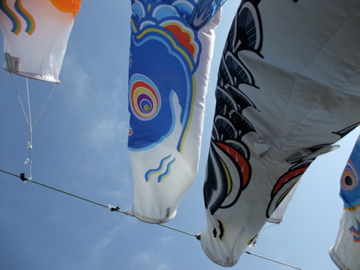 koinobori09.jpg