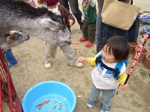 わぁ～食べた！