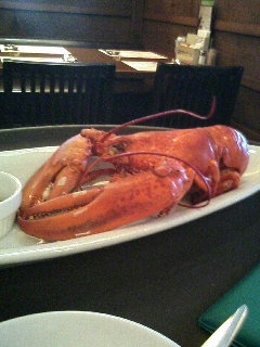 RED LOBSTER 2