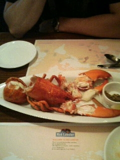 RED LOBSTER 4