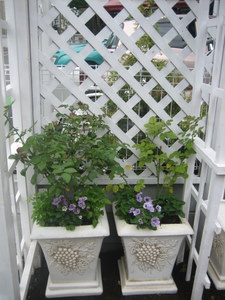 ２００７．８ 018-1.jpg