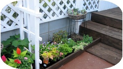 ２００７．７ 221-3.jpg