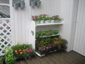 ２００７．８ 001-1.jpg