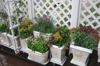 ２００７．９ 139-1.jpg