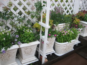 ２００７．９ 140-1.jpg