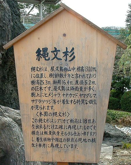 DSCF0050.JPG
