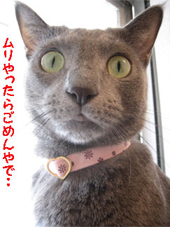 ホンマにね・・