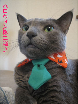 ハロウィンネクタイ