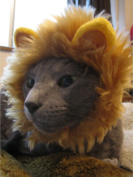 ポンデロシアン