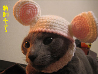 ちょっぴり進歩