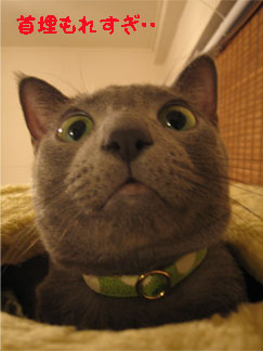 柄が分からない・・