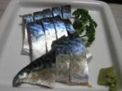 自家製〆鯖