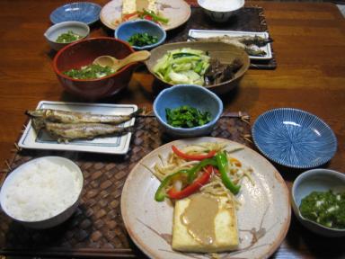 今日の夕食