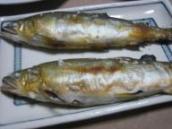 鮎の塩焼き