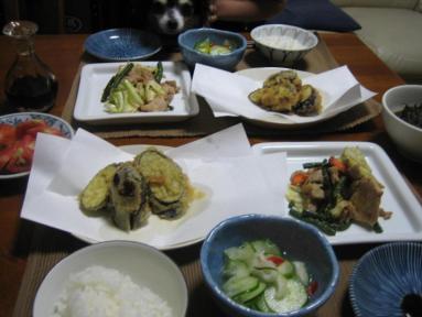 今日の夕食