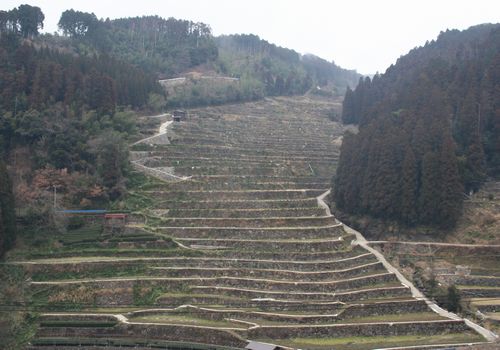 12512星野村広野の石積棚田