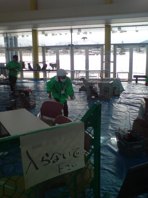 わんこ譲渡会２