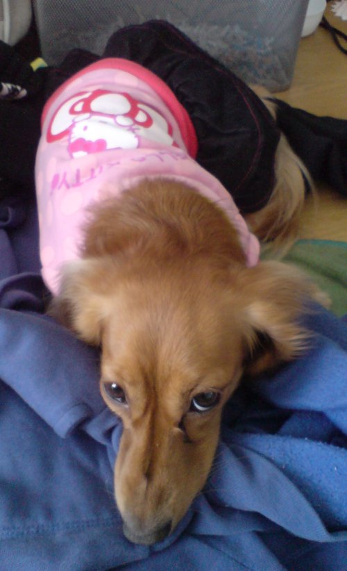 ふてくされ中（爆）