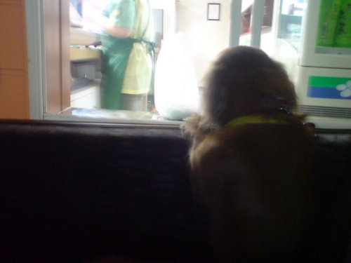 あ、お弁当来た！！