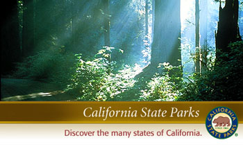jedediah-smith-redwoods-sp