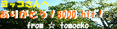 8000