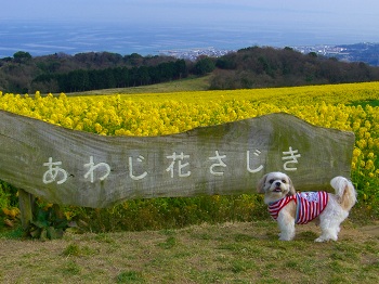 淡路島・花さじき