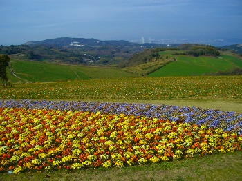 淡路島・花さじき