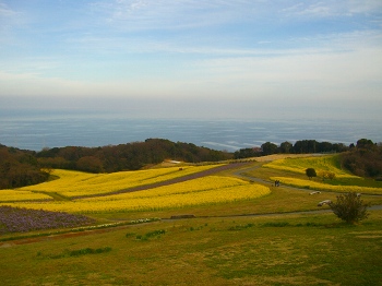 淡路島・花さじき