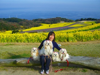 淡路島・花さじき