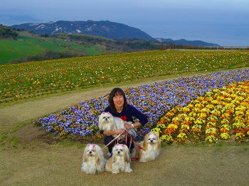 淡路島・花さじき