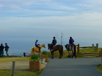 淡路島・花さじき